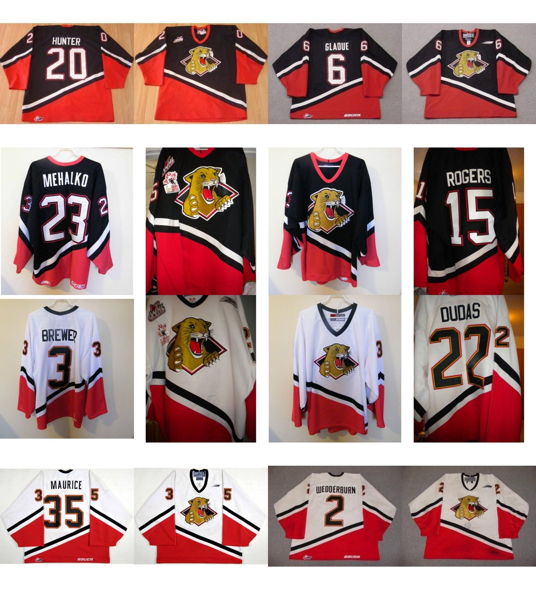 Customize Whl Prince George Cougars Eric Hunter Hockey Jerseys