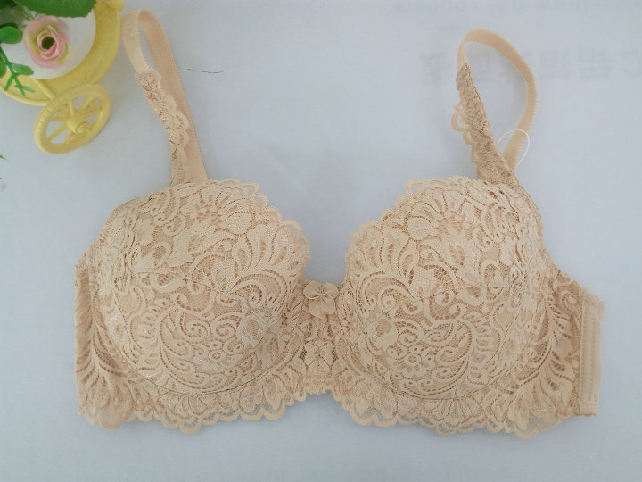 Directly Bras Wholesale Plus Size Bra (CS927)