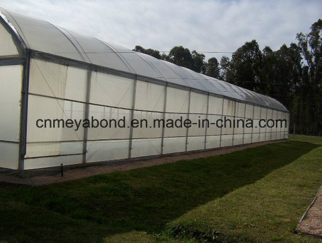 100% Virgin HDPE Insect Net