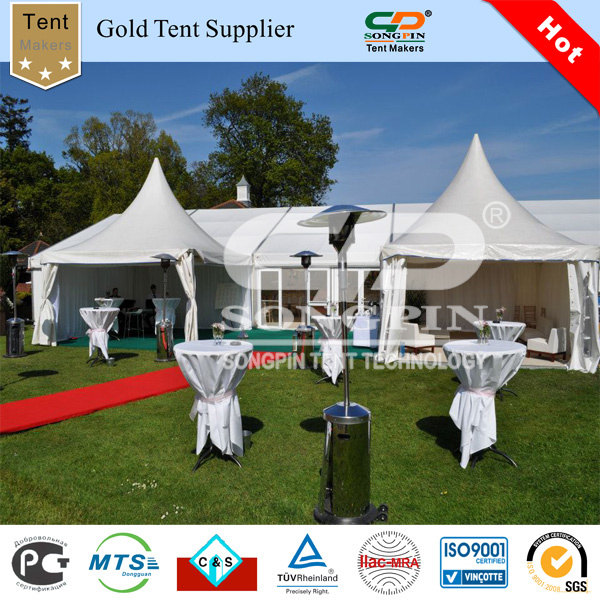 Frame Tent pvc marquee tents  3x9m