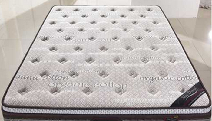Hm160 Hot Sale Rollable Memory Foam Mattress/Thin Mattress