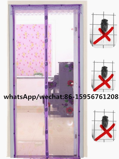 Windows Screen Net
