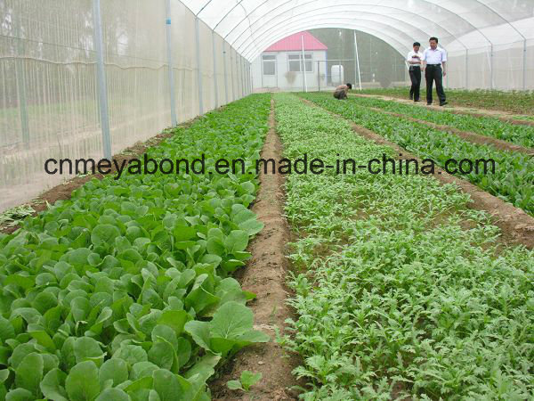100% Virgin HDPE Anti-Insect Shade Net for Agriculture Greenhouse