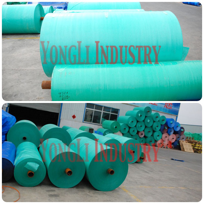280g/Sqm Super Heavy Duty and White Color Poly Tarps/PE Tarpaulin with UV for Roof Cover
