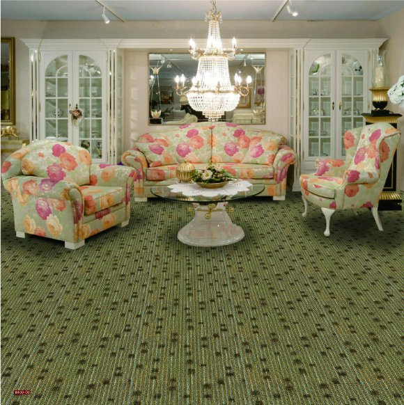 N409-Rolled 1/10 Nylon-PA6 Organic Woven Full-Width Repeat Office/Hotel/House Carpet