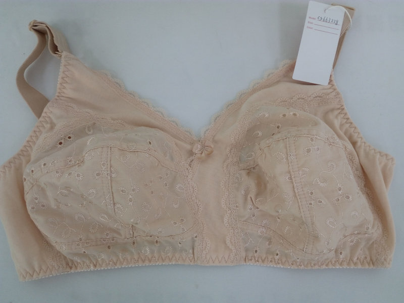 Non-Wired Plain Big Size Bra for Women