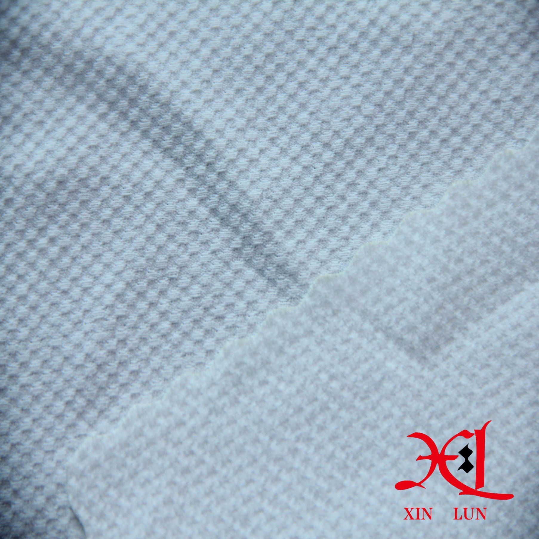 180d 100% Polyester Fabric for Hoodie/Sweater, Garment