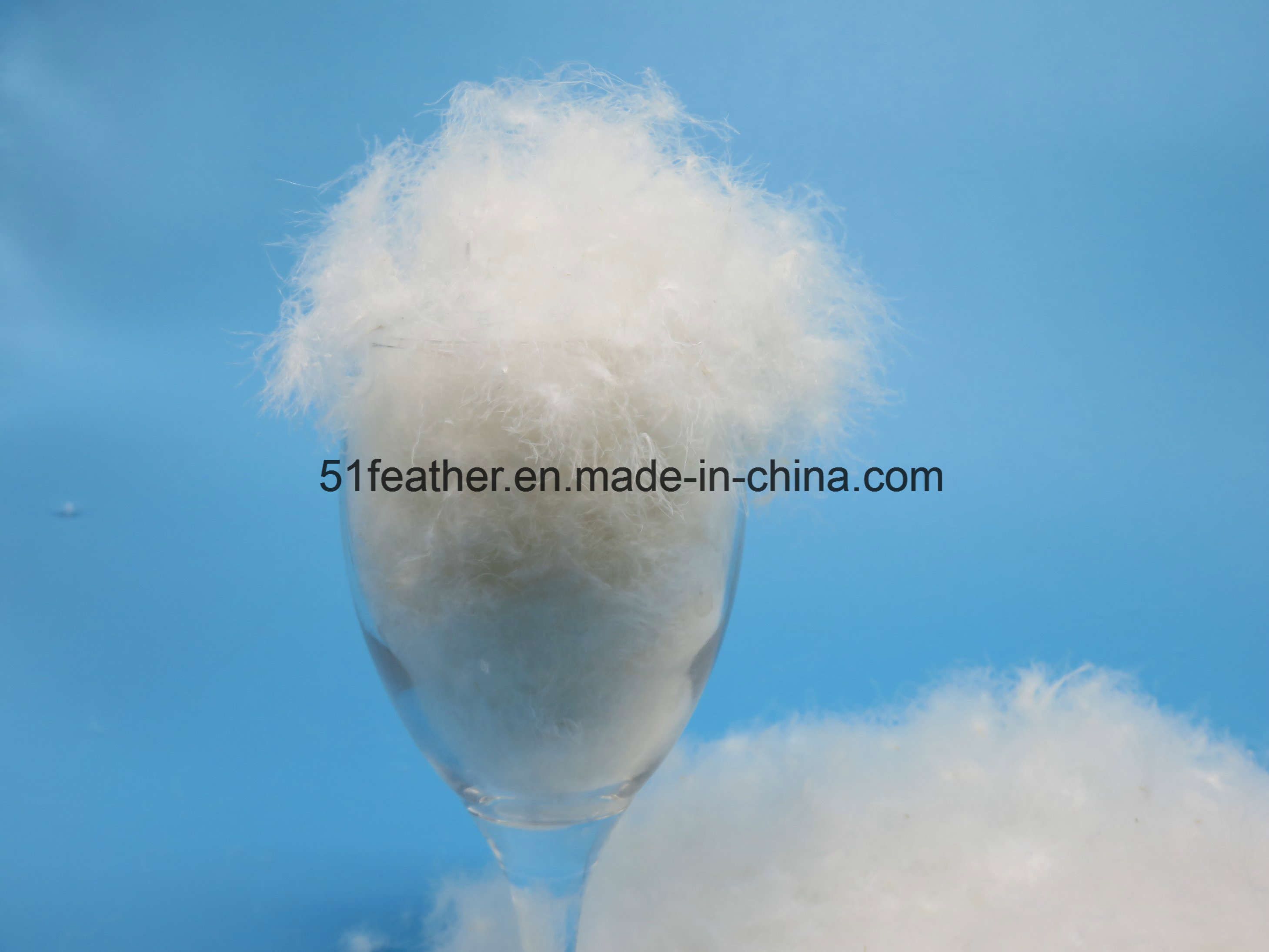 China Washed White Goose Down 90% for Comforter and Bedding