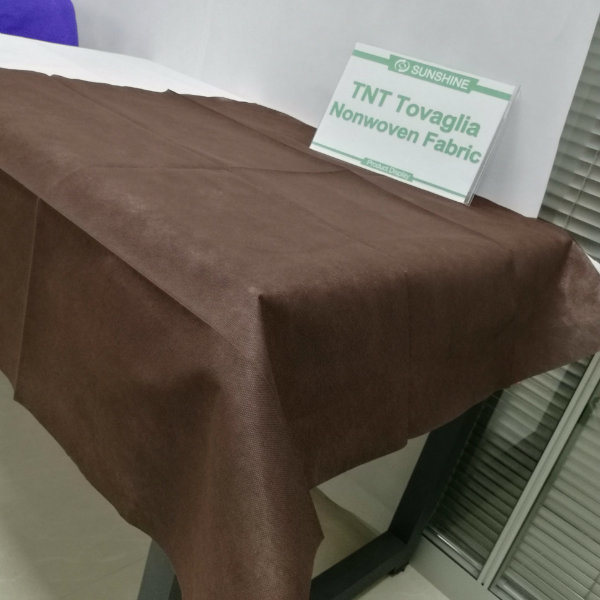 Eco-Friendly PP Non Woven Tablecloth