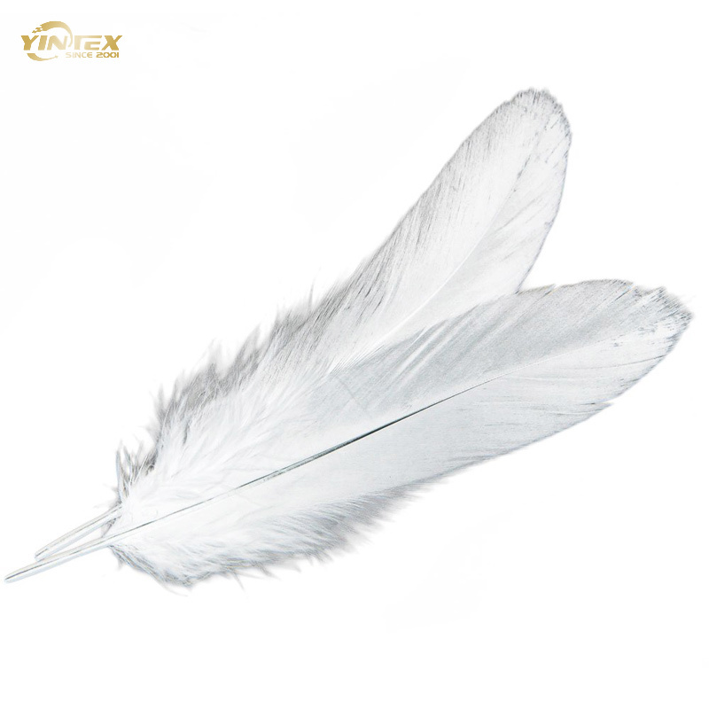 Duck Feather & Down