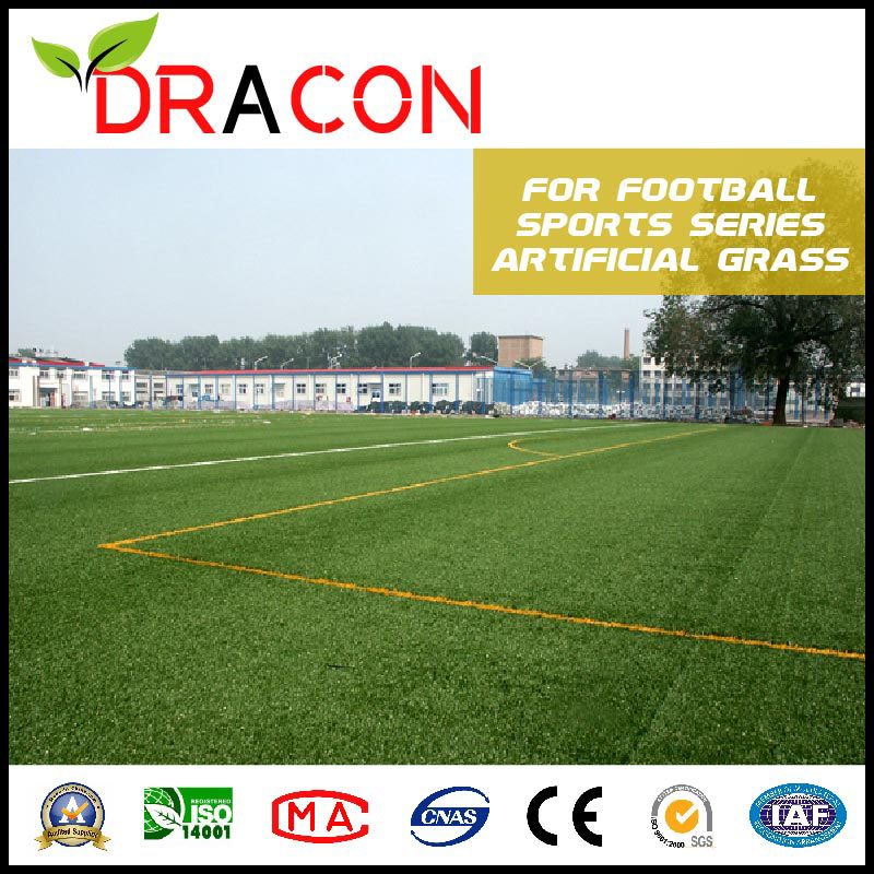 Artificial Grass Carpet for Sports Field (G-5001)