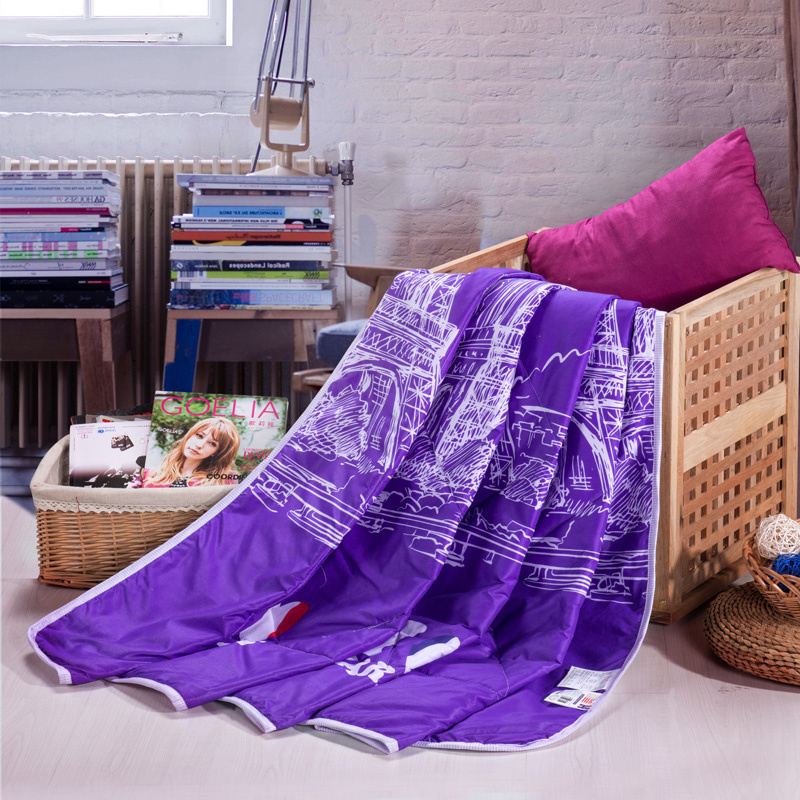 Top Wholesaler Microfiber Thin Printed Summer Quilt Comforter