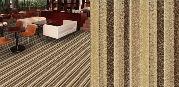 Cut and Low Loop Carpet