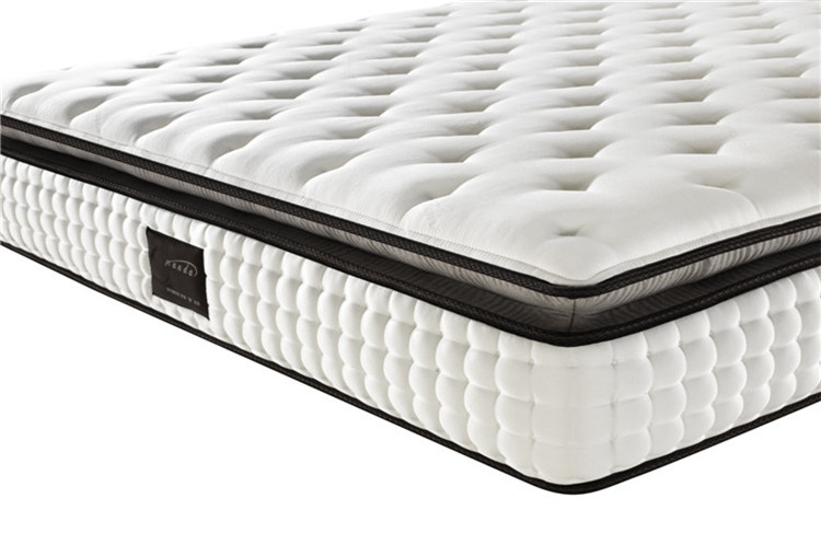 Factory Roll up Box Spring Mattress