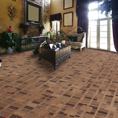 N367-Rolled 1/8 Nylon-PA6 Cut &. Loop Woven Full-Width Repeat Office/Hotel/House Carpet