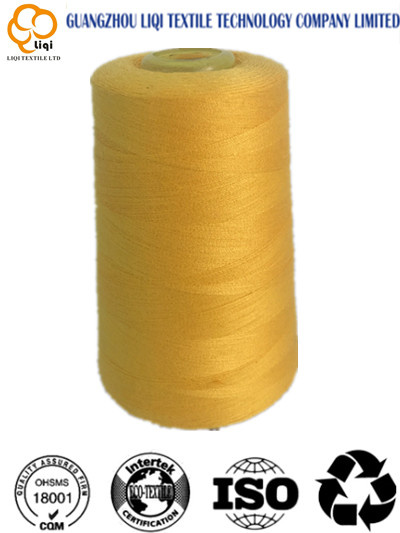 Various Color Polyester Elastic Thread for Sewing 42s/2