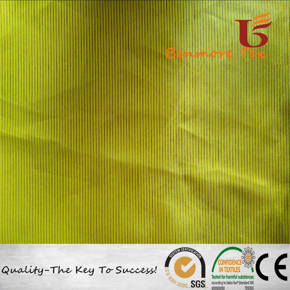 New Functional Down Coat Fabric/Nylon Taffeta Fabric with Black Yarn