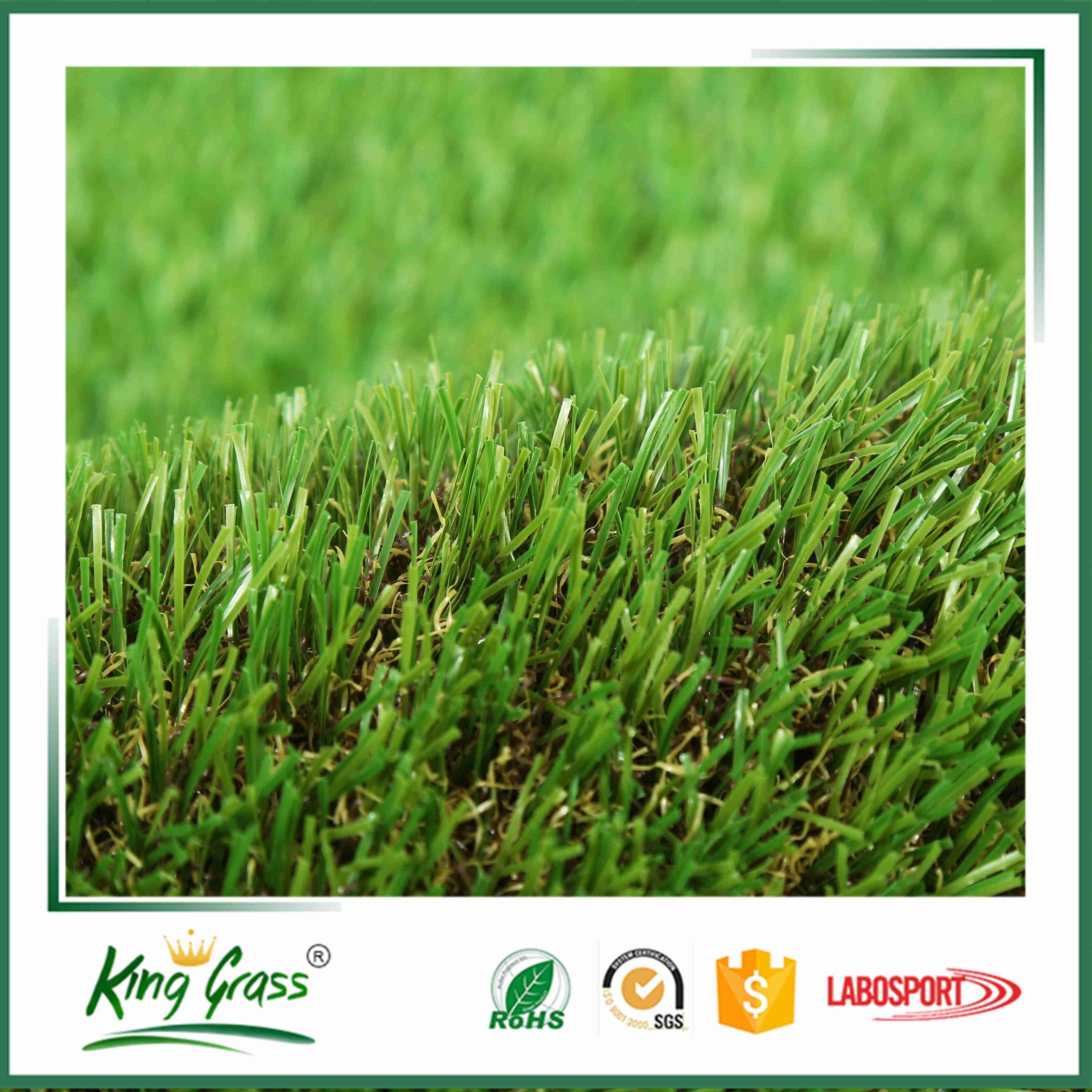 PE Material and Grass Style Artificial Turf /Plastic Carpet for Decor with Competitive Factory Price
