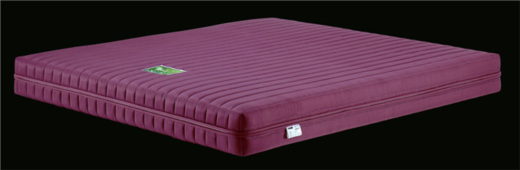 Orthopedic Bamboo on Air Comfort Inflatable Memory Mattress