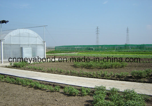 Orchard Anti-Insect Net (20/10, 16/10 etc)