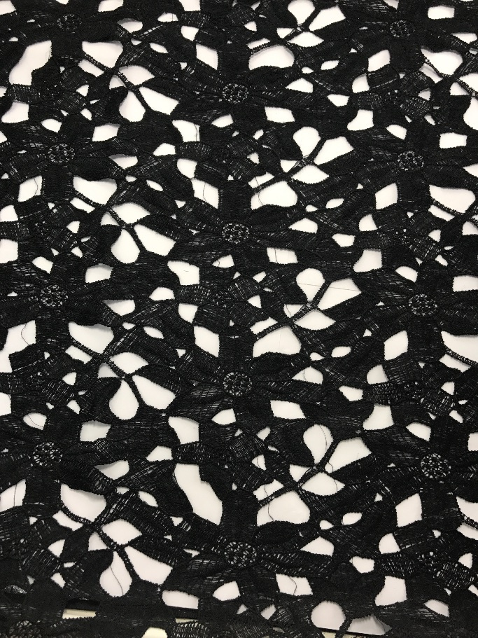 Lace with Geometry