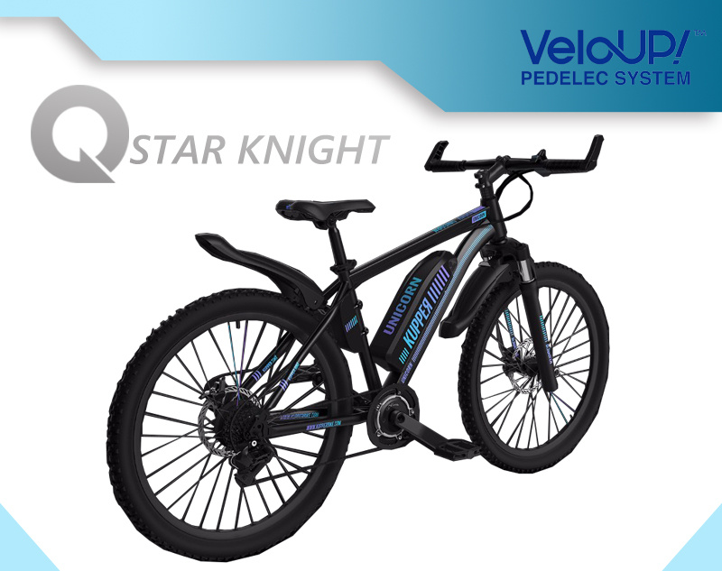 8 Speed Gear Shimano Brake Mountaion Ebike for Man