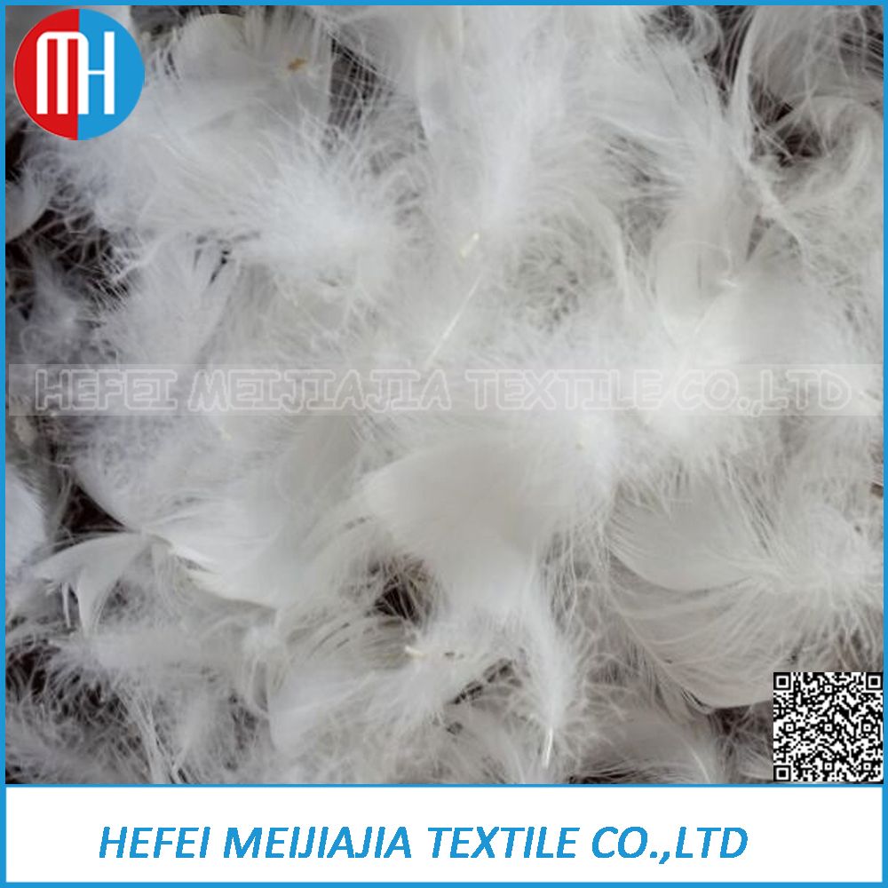 Cheap Washed White Duck and Goose Feather Down