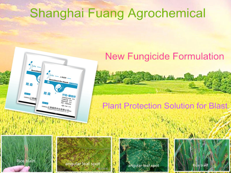 2016 Hot Effecient Bacteriacide, Bismerthiazol & Zn Thiazole