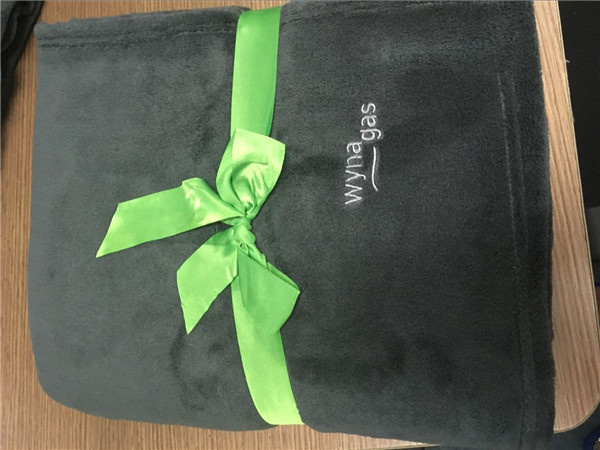 100% Polyester Wholesale Plain Color Coral Fleece Blanket (ES2091803AMA)