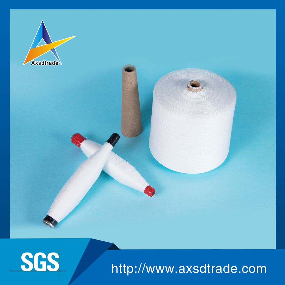 Polyester Sewing Thread 40s/2 5000m Factory From China