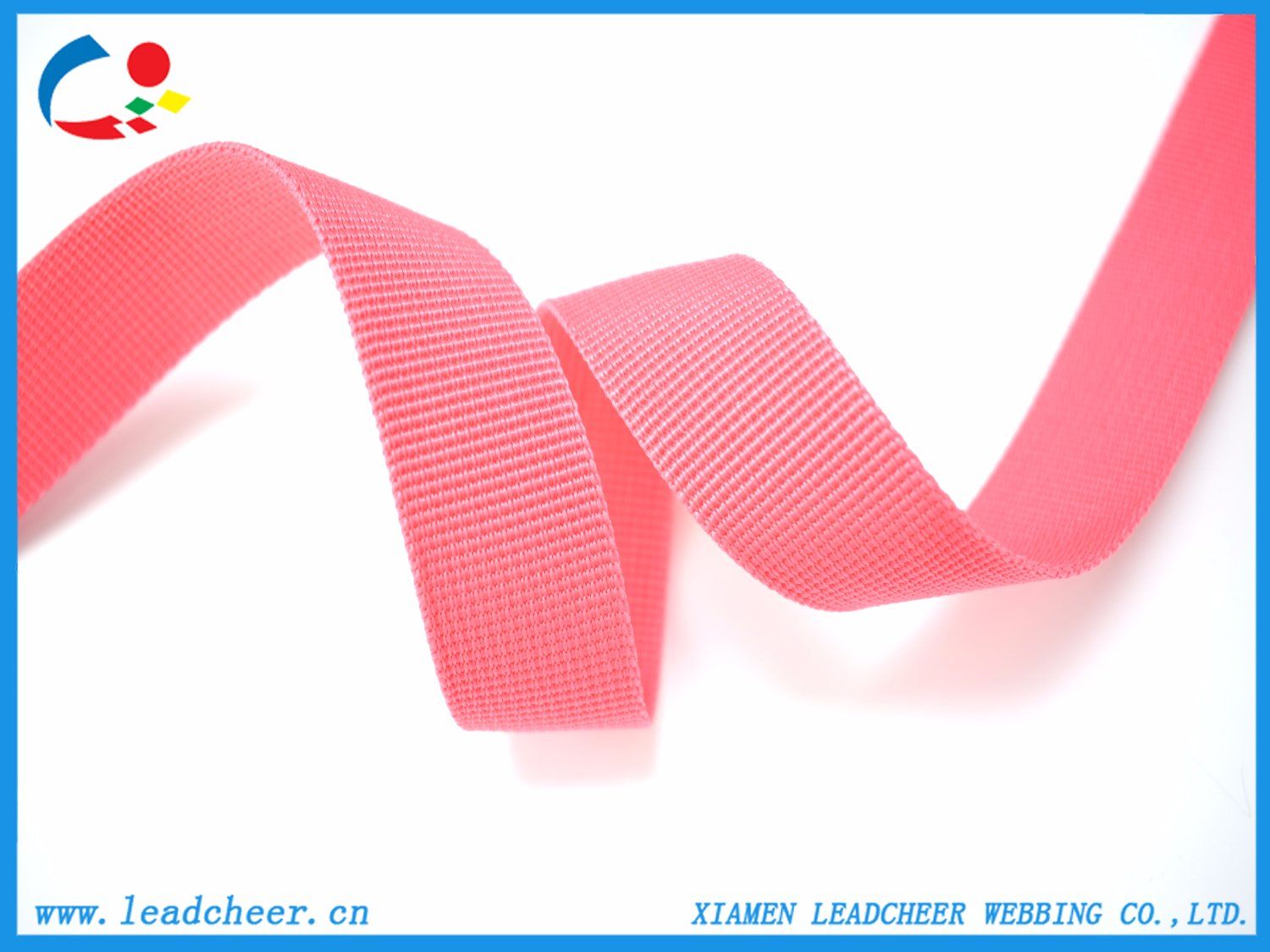 Factory Customized PP (Polypropylene) Webbing for Schoolbag Belt