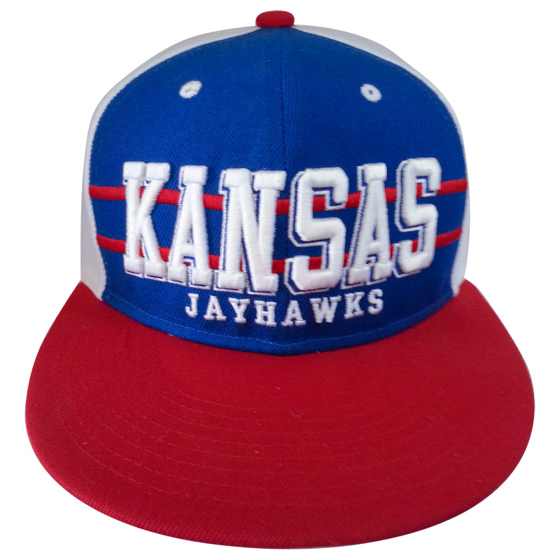 Top Quality Snapback Cap with Nice Color (GJFP1786)