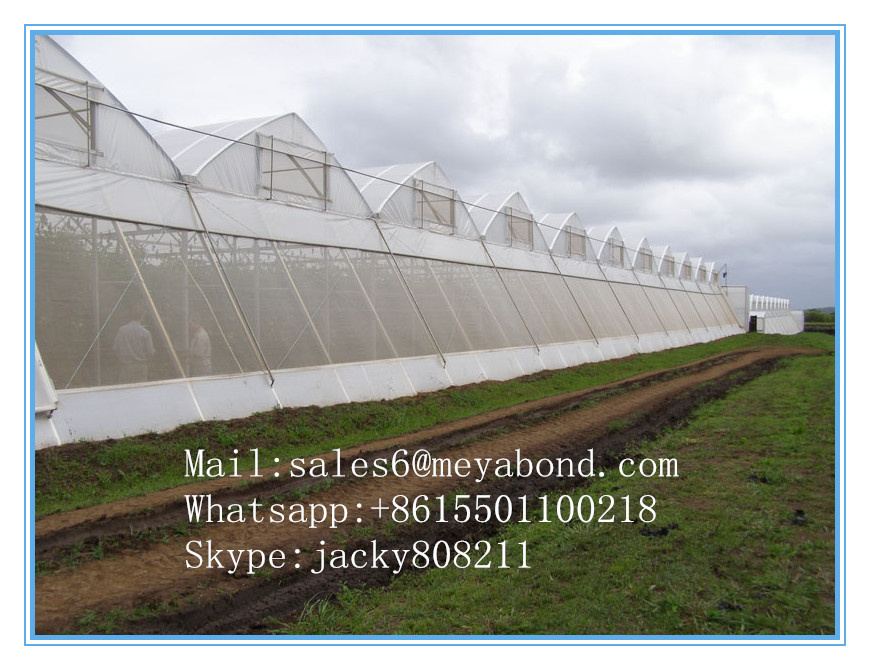 Insect Proof Net