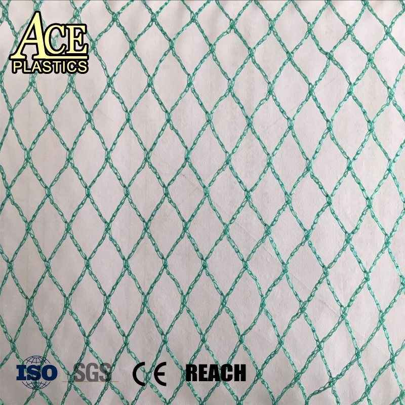 Agricultural Vineyard 5g HDPE Anti Bird Netting Brid Wire Mesh Plants Protection Net