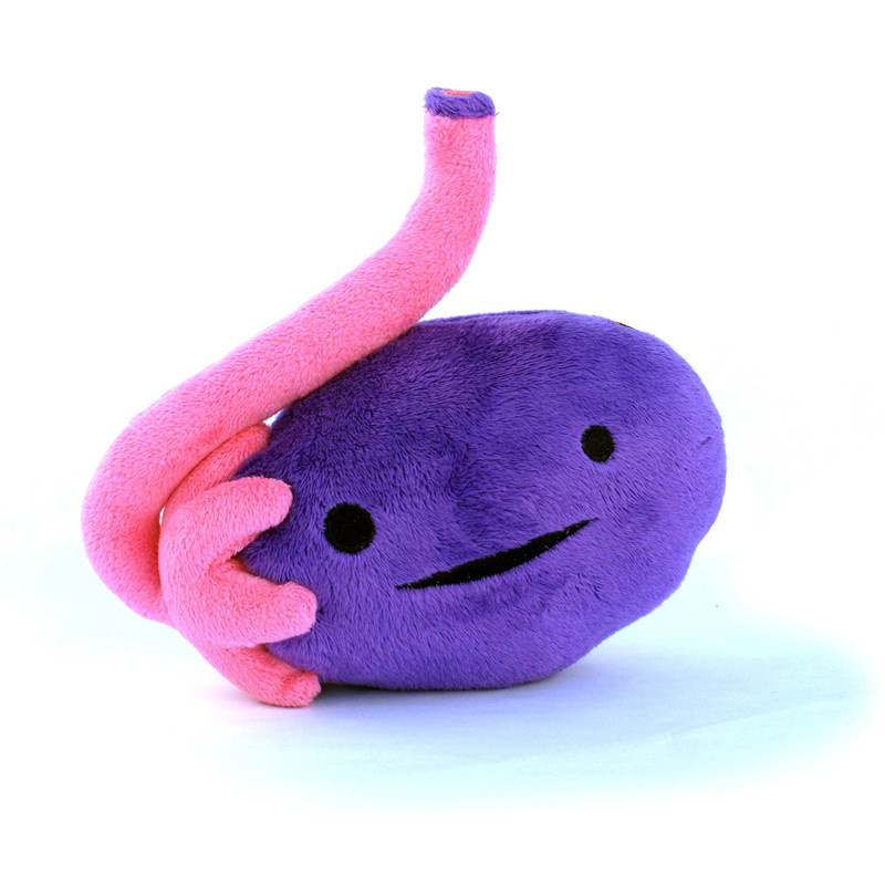 Plush Uterus Custom Plush Toy