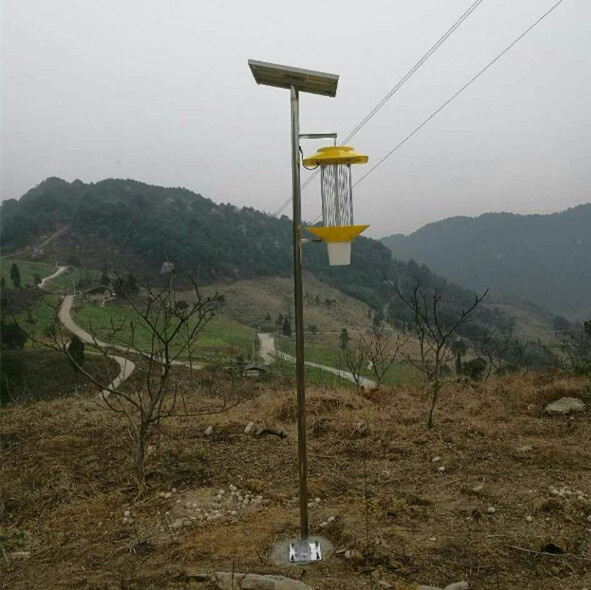 Widlly Control Area Efficient 3W Power Solar Insect Killing Lamp