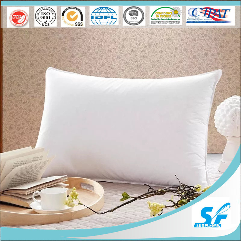 Pegasus Home Fashions Ez Dreams Microfiber Pillow, Standard, 2-Pack