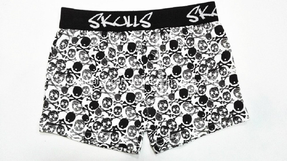 New Print Design Children Underwear Boy Boexr Short Boy Brief with Eco Permit