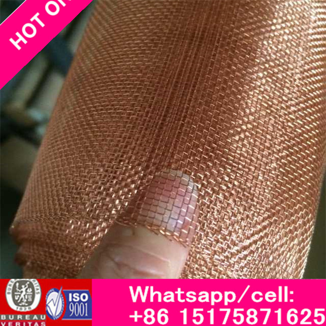 Rich Resist High Temperature Molybdenum Wire Mesh, Molybdenum Wire Cloth