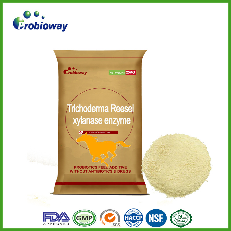 SGS-Certified Horse Xylanase Enzyme Trichoderma Reesei Equine Feed Additives