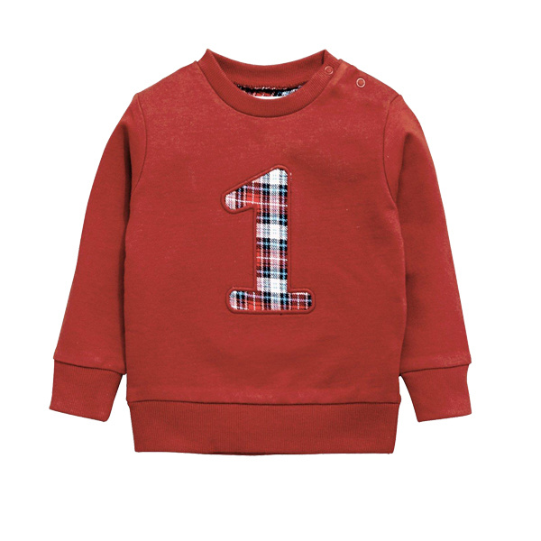 Manufacture Customize High Quality Boy Sweatshirt Kids Clothing
