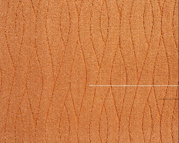 Cut and Loop Pile Carpet (EL6 Series)