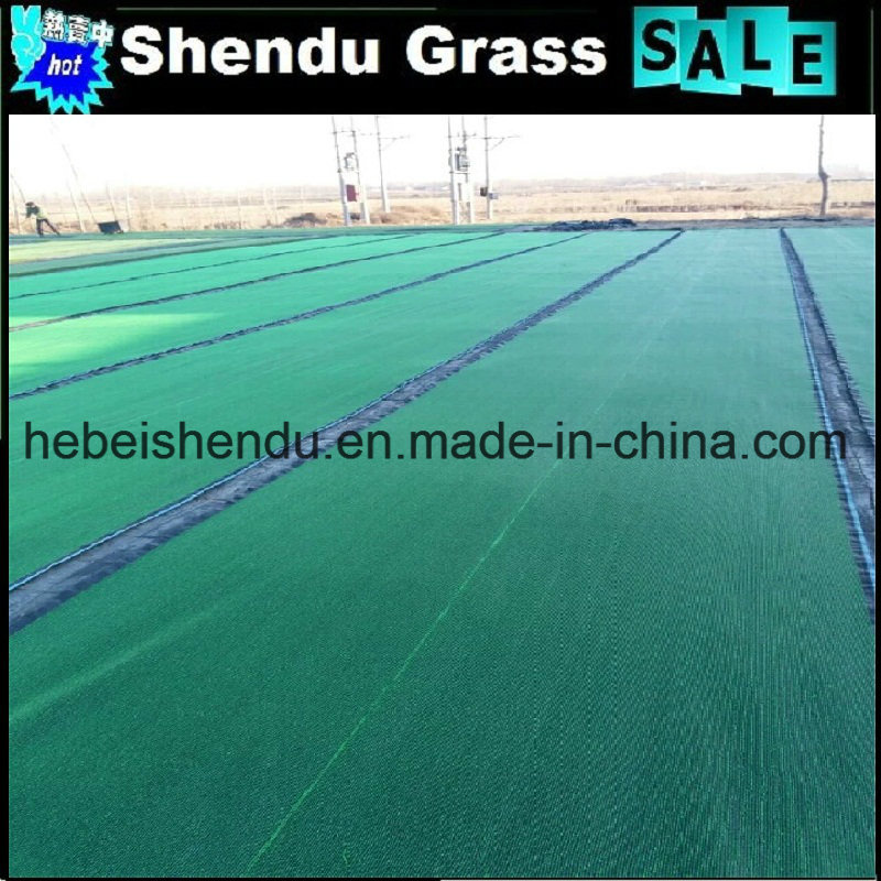 Light Green and Dark Green 10mm Grass Carpet Hot Sales