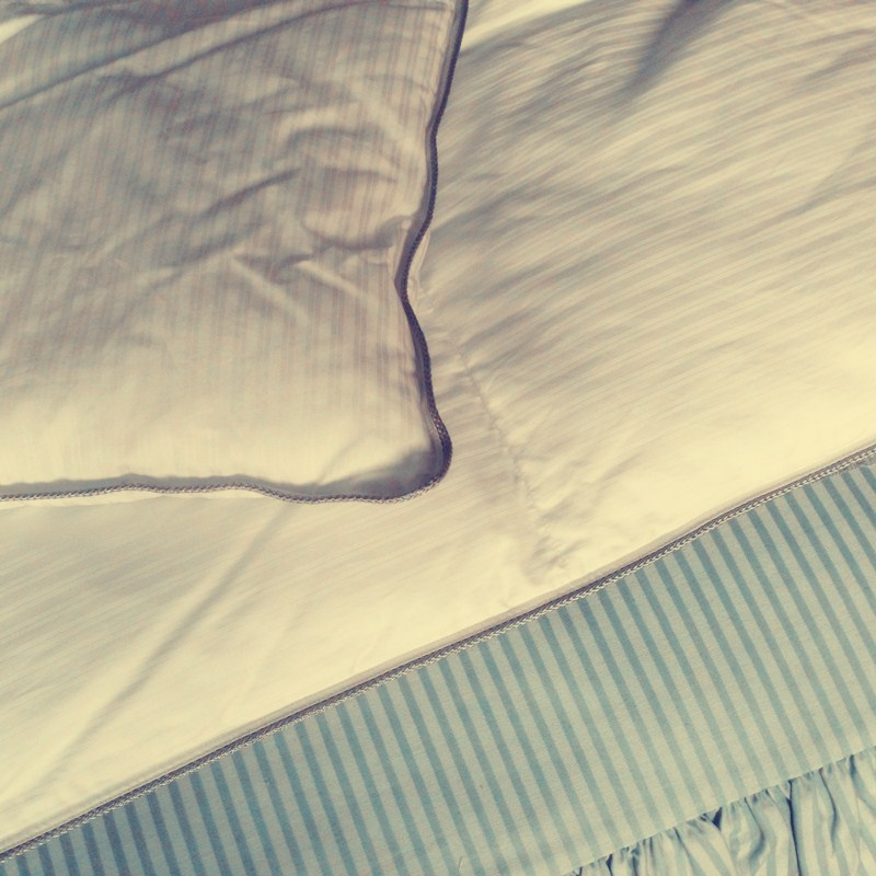 Luxury Hotel/Home Down Quilt