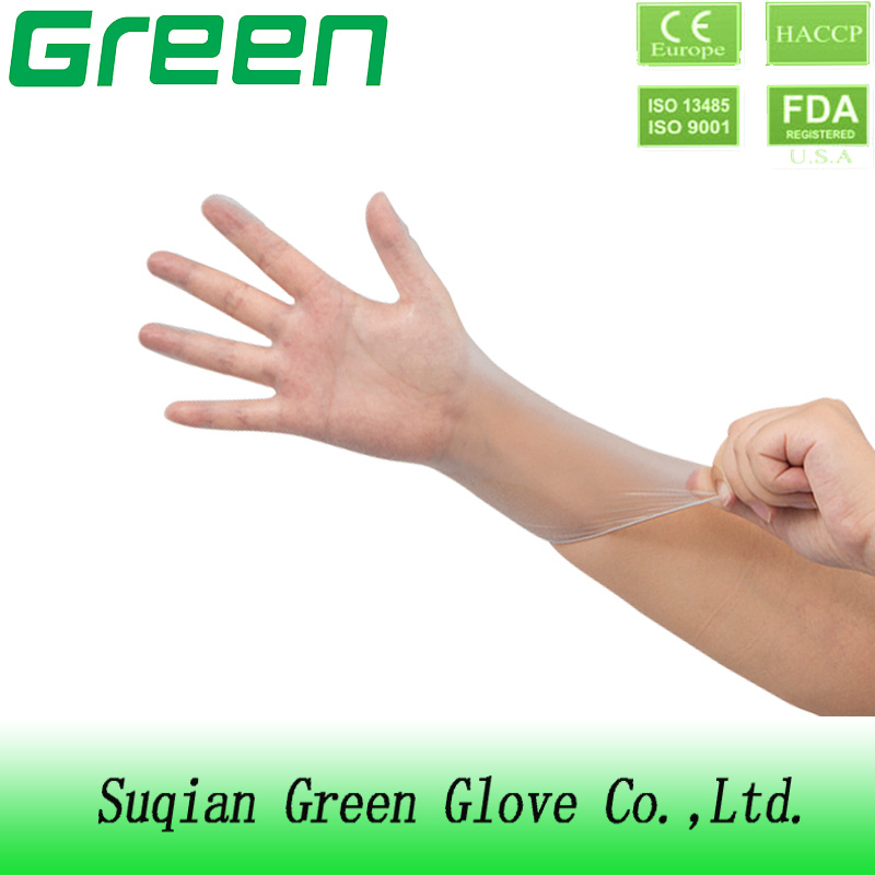 Clear Vinyl Gloves