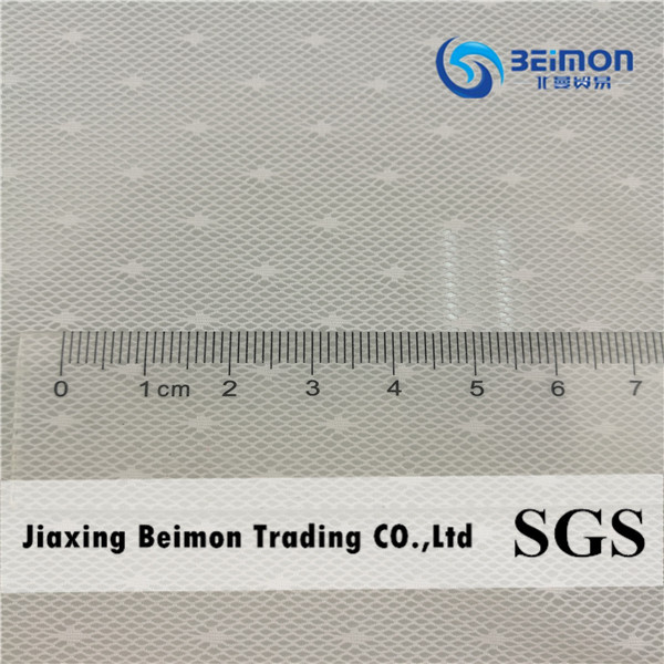 Power 100 DOT Mesh of 80%N 20%Sp Fabric for Fashion Trend Clothing