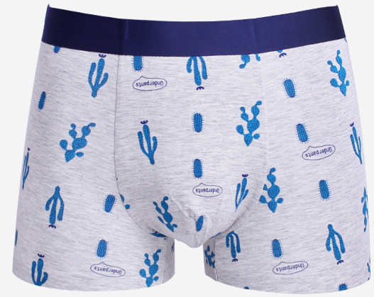 New Print Design Viscose Men's Boxer Brief Underwear with Eco Permit