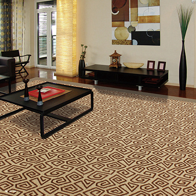 Chu Yun - Polypropylene Bcf Organic Wall to Wall Carpet