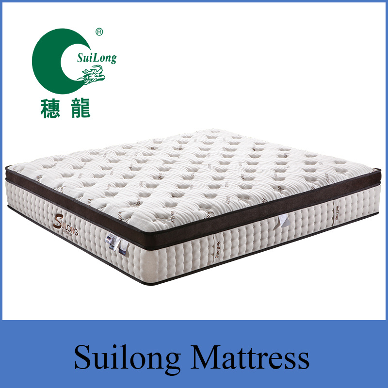 SL1701 Plush Top Euro Top Pocket Spring and Latex Mattress