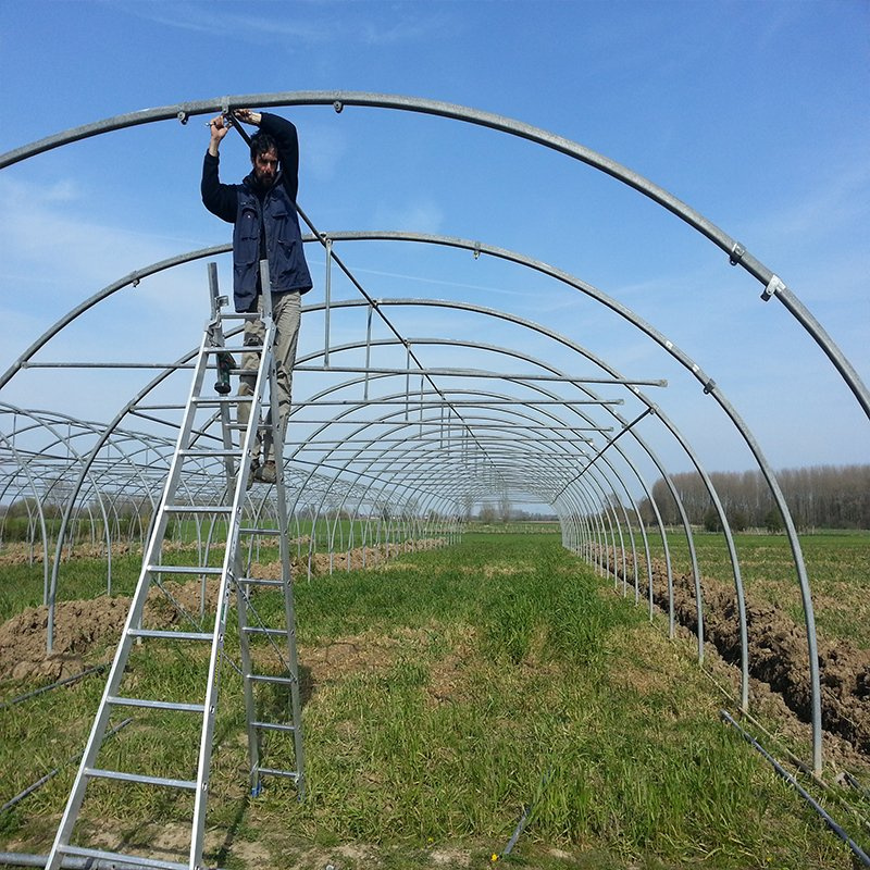 Multi-Span Awning Window Intelligent Greenhouse